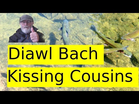 Видео: Мушки для радужной форели (Диавл Бах, целующиеся кузены, 2 варианта)