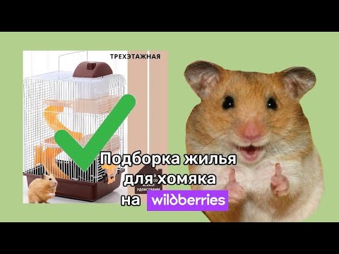 Видео: подборка клеток для хомяка!🐹(1 part)|#хомяк 💗