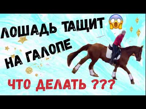 Видео: ЛОШАДЬ ТАЩИТ НА ГАЛОПЕ