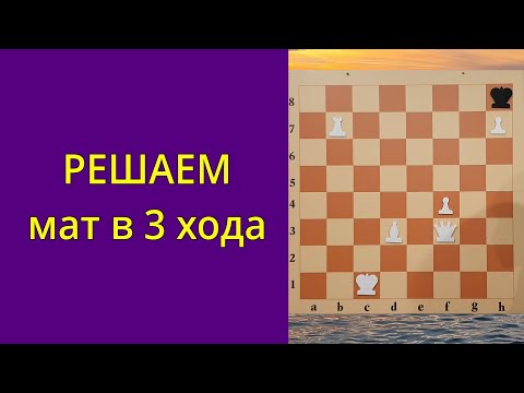 Видео: Решаем вместе мат в 3 хода