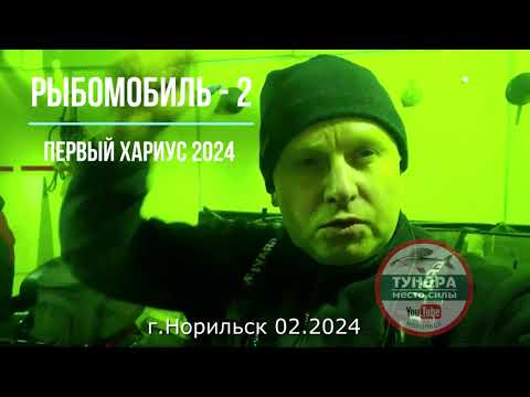 Видео: Рыбомобиль 2часть. Первый хариус в глухозимье. Норильск.