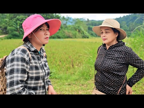 Видео: Ту случайно встретил госпожу Туй и рассказал ей об аресте Фыонг полицией.