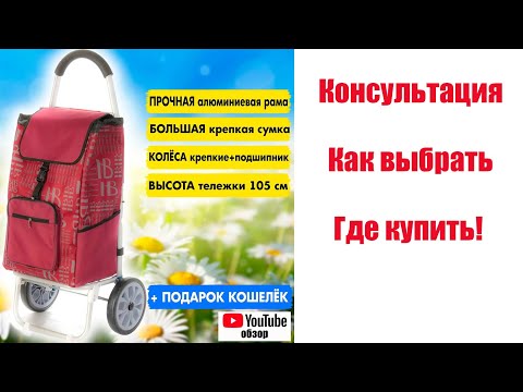 Видео: Как выбрать Сумка тележка Консультация профессионала