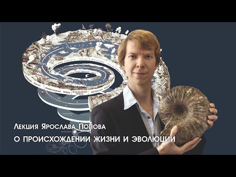 Видео: Происхождение жизни и Эволюция. Лекция Ярослава Попова.