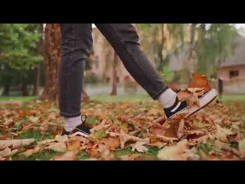 Видео: "ЗОЛОТОЕ БАБЬЕ ЛЕТО", песня в исполнении Алексея Усманского.