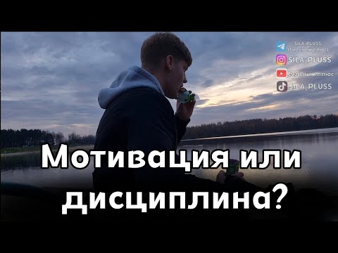 Видео: НУЖНА ЛИ ДИСЦИПЛИНА?