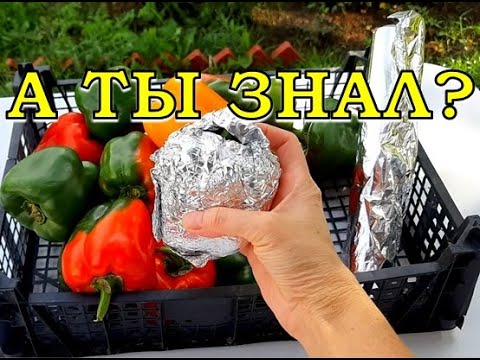 Видео: 6 способов КАК сохранить сладкий перец на зиму👍👍👍