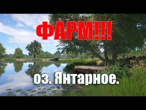 Видео: ИЩУ ФАРМ СЕРЕБРА на оз. ЯНТАРНОЕ| РУССКАЯ РЫБАЛКА 4 | СТРИМ