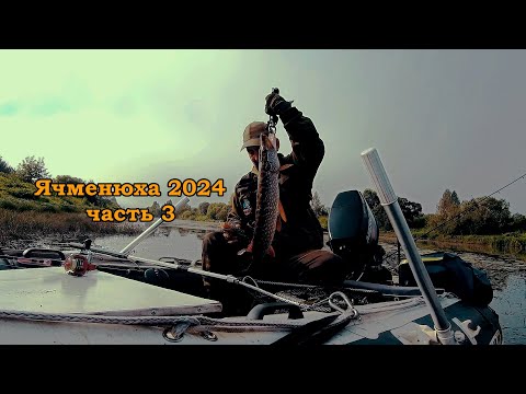 Видео: Ячменюха 2024. Рыбалка на малой речке.Часть 3, заключительная.