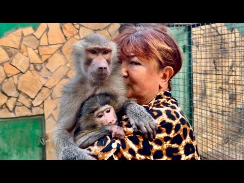 Видео: Нашей Люське для счастья МНОГОГО НЕ НАДО, главное чтоб Анфиса БЫЛА РЯДОМ! 