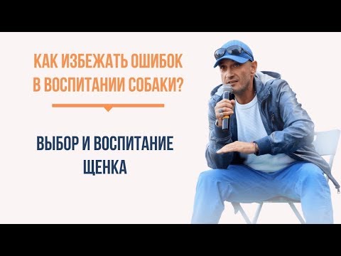 Видео: Как избежать ошибок в воспитании собаки? 5 органов чувств формирующих реальность собаки