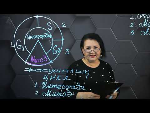 Видео: Интерфаза және оның кезеңдері. 9 сынып.