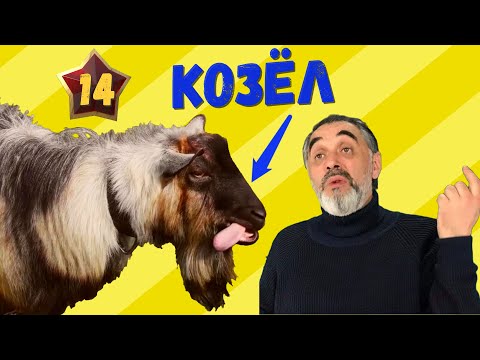 Видео: Козёл /Акулы из стали. Второй сезон / Читает Эдуард Овечкин