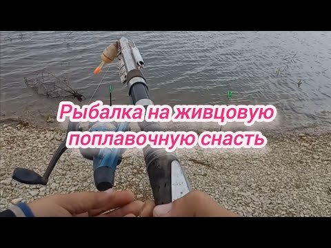 Видео: Рыбалка на живцовую поплавочную снасть . Рыбалка 2024 . Обзор самоподсекающейся удочки . Рыбак .