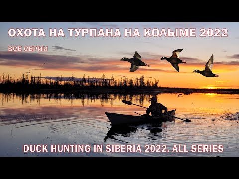 Видео: ОХОТА НА ТУРПАНА НА КОЛЫМЕ 2022. ВСЕ СЕРИИ ПОДРЯД. HUNTING FOR VELVET SCOTER IN SIBERIA. KOLYMA