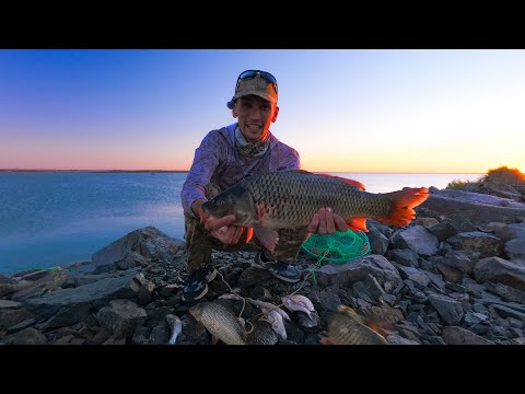 Видео: Балқаштағы 3 күн – Өмірімдегі ең үлкен сазан
