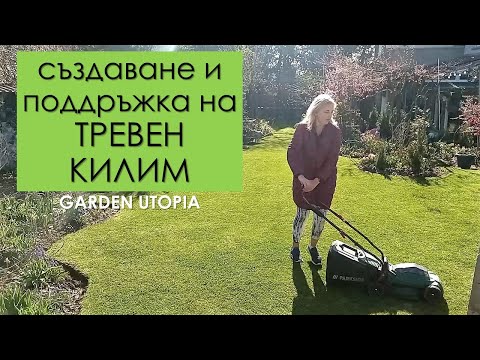 Видео: ТРЕВЕН килим в ГРАДИНАТА - Как да създадем и поддържаме декоративна тревна площ