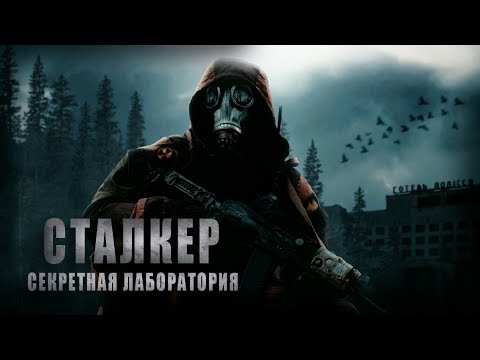 Видео: СТАЛКЕР/ИСТОРИЯ МОНОЛИТОВЦА/ СЕКРЕТНАЯ ЛАБОРАТОРИЯ 8 СЕРИЯ - страшные истории