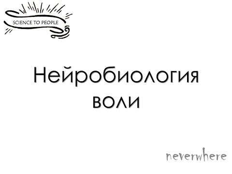 Видео: Даниэль Ламан - Лекция про волю: длинная и разная