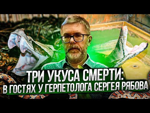 Видео: Три укуса смерти: В гостях у герпетолога Сергея Рябова