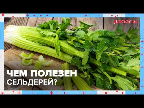 Видео: Чем полезен СЕЛЬДЕРЕЙ? | Доктор 24