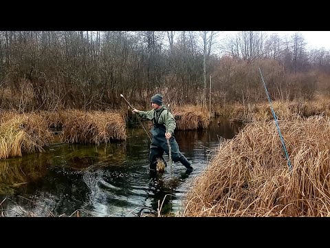 Видео: А тут риба є? Рогатки покажуть правду!