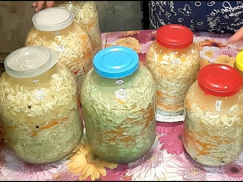 Видео: КВАШЕННАЯ КАПУСТА В РАССОЛЕ👍👌