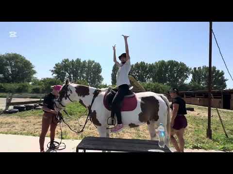 Видео: Верхом на мечте 🫶