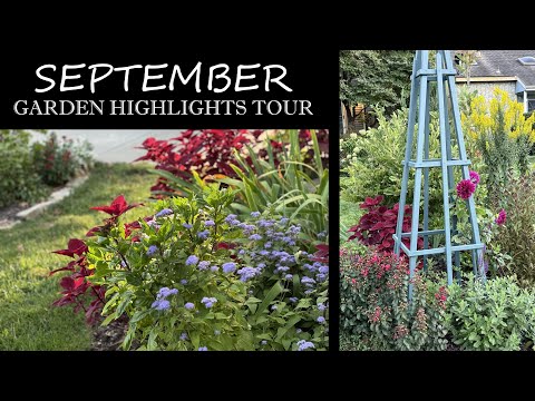 Видео: Сентябрьский тур по садам: лучшие моменты | Мягкий свет и позднее цветение