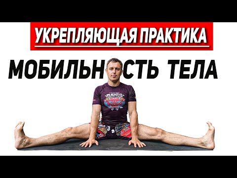 Видео: Укрепляющая практика + мобильность. Активная растяжка на каждый день.