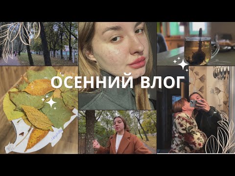 Видео: ОСЕННИЙ ВЛОГ | работа, танцы, всякие делишки