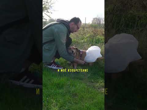 Видео: Изобретение для собак