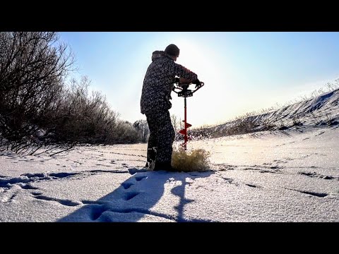 Видео: Я ИХ ИСКАЛ! Рыбалка 2025 на хапуги в Сибири. Хапугиадля рыбалки ловит рыбу. Рыбалка на сазана.
