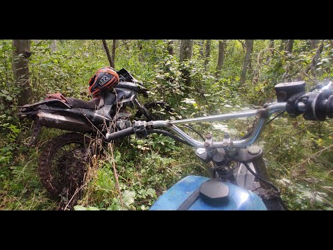 Видео: На восходе через лес, кругом завалы и джунгли