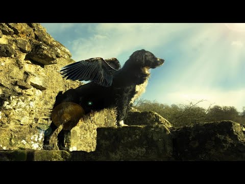 Видео: "Оберег". Александр Райн.