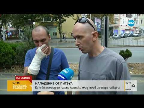 Видео: Питбул нахапа жестоко млад мъж във Варна - Здравей, България (19.09.2019г.)