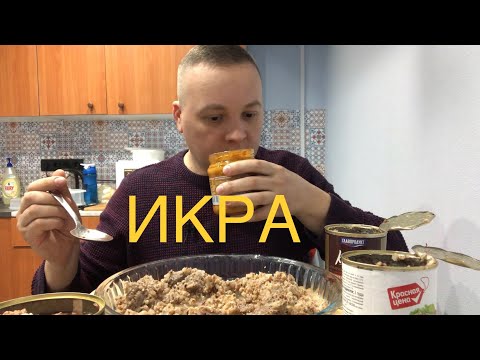 Видео: Икра Баклажановая VS Кабачковая+обжор гречки с тушёнкой МУКБАНГ mukbang eating