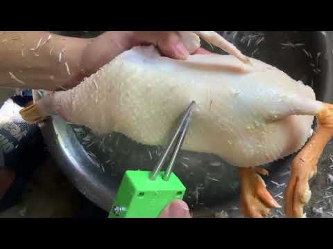 Видео: Машинка для чистки пера. Аппарат удаления оперения.