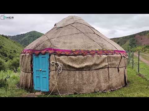 Видео: Толук айылы.коллектив2025