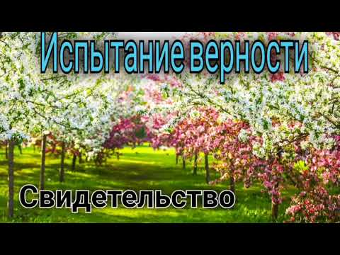Видео: Такими людьми хочется похвалиться - Свидетельство  Голубь В.А.