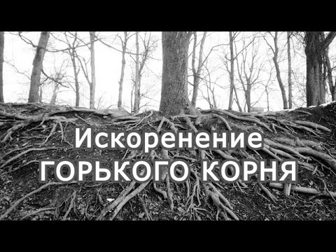 Видео: Искоренение горького корня