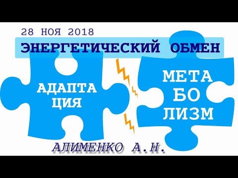 Видео: Энергетический обмен между адаптационным и метаболическими механизмами. Алименко А.Н. (28.11.2018)