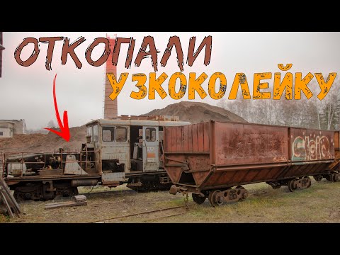 Видео: Расчищаем ЗАБРОШЕННУЮ узкоколейку