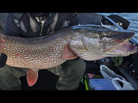 Видео: Щука 13 600. Поклевка на соседней лодке. 