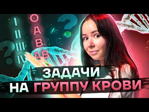 Видео: Разбор задач на группу крови в ЕГЭ | Биология 2023 | Умскул