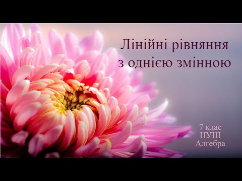 Видео: Лінійні рівняння з однією змінною  | 7 клас | НУШ | Алгебра