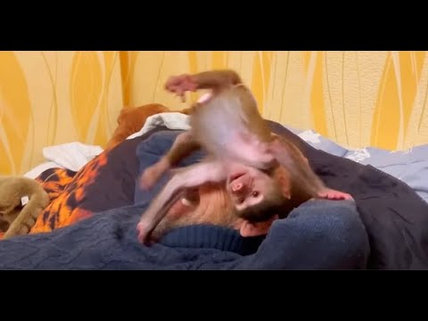 Видео: СМЕШНО! Я ругаю ВЛАДА за то, что он НЕ РУГАЕТ Люську и Влад начинает ГРОЗНО РУГАТЬСЯ!