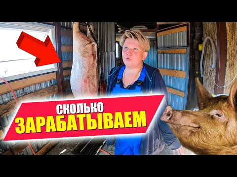 Видео: КАК НАС ОБМАНУЛИ | СКОЛЬКО ЗАРАБАТЫВАЮТ СВИНОВОДЫ. ЗАБОЙ на 200 кг. СЕНТЯБРЬ В ДЕРЕВНЕ. Прощаемся с