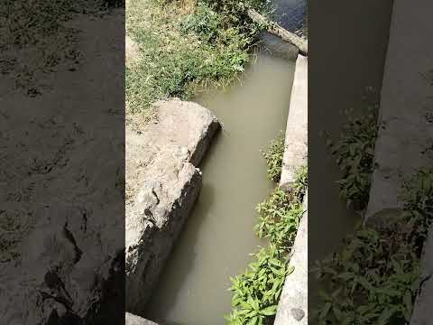 Видео: Қазығұрт ауданы Қызылқия ауылының көрінісі