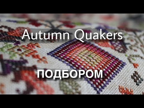 Видео: Всё, что вы хотели знать об Осеннем Квакере подбором. ROSEWOOD MANOR Autumn Quakers.